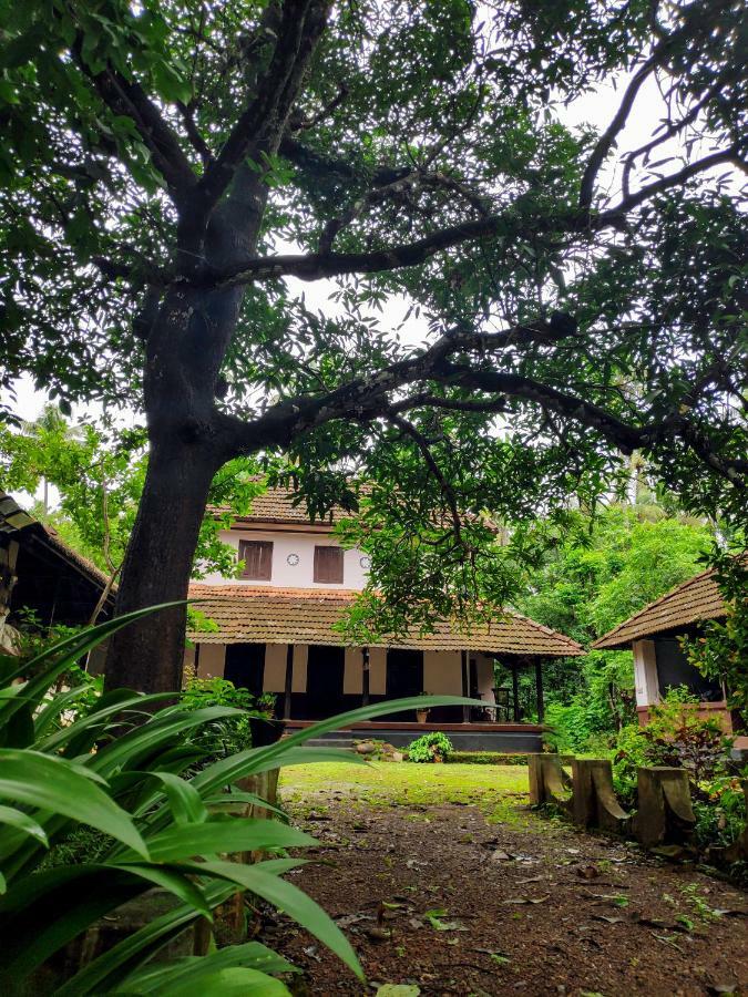 Thrissur Meadowsヴィラ エクステリア 写真